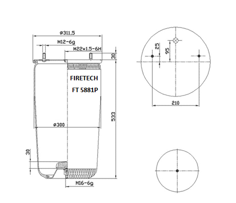 FT 5881 P B